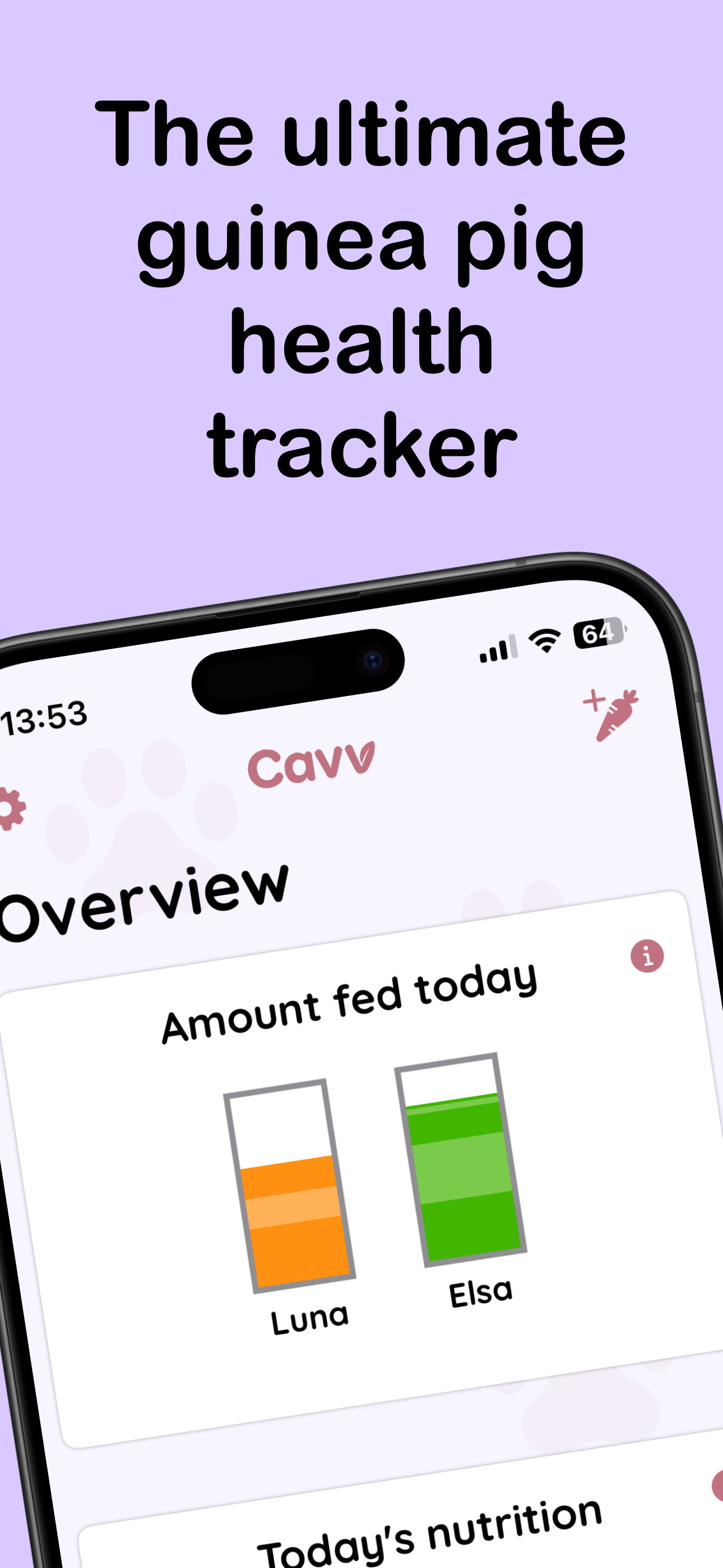 The ultimate guinea pig health tracker