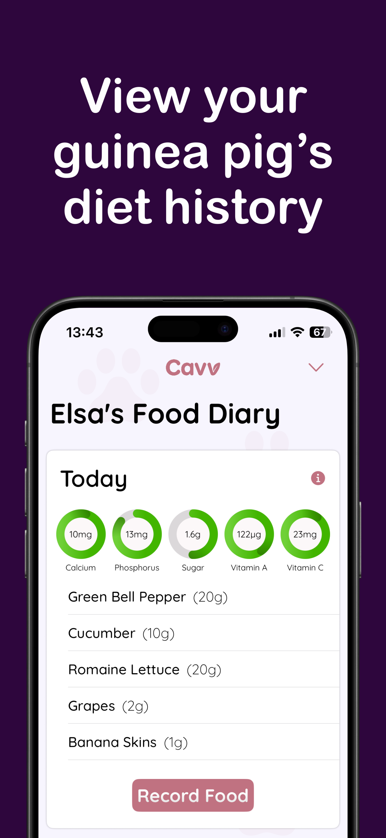View your guinea pigs diet history